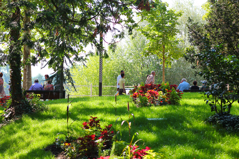 From Lyon: Vichy, City of Water Day Trip