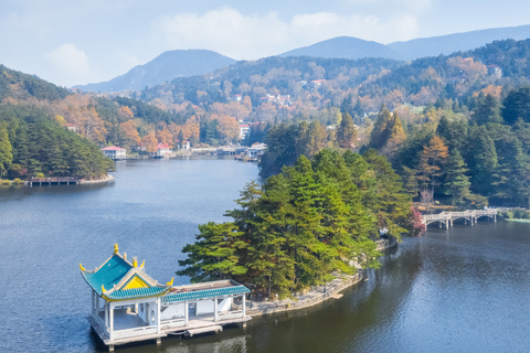 Tokyo: Nikko Kegon Falls Lake Chuzenji Toshogu Temple & More From Tokyo: Nikko Unesco Customised Private Tour In Prado