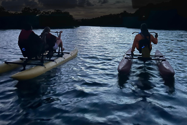 La Parguera: Excursiones en Chiliboats por la Bahía BioluminiscenteParguera: Excursiones en Chiliboats por la Bahía Bioluminiscente