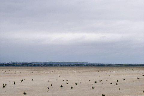 Bay of Mont Saint-Michel : Quicksands + Tombelaine Island Bay of Mont Saint-Michel : Quicksands + Tombelaine Island