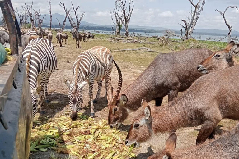 Nairobi: Crescent Island Sanctuary Day Trip with Lunch Nairobi: Crescent Island Sanctuary private day Trip