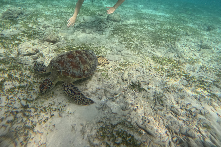 Gili Air: Sharring Snorkeling Experience by Boat