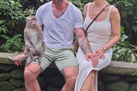 乌布猴林、梯田、秋千、寺庙和瀑布乌布猴林、水稻梯田、秋千、寺庙和瀑布