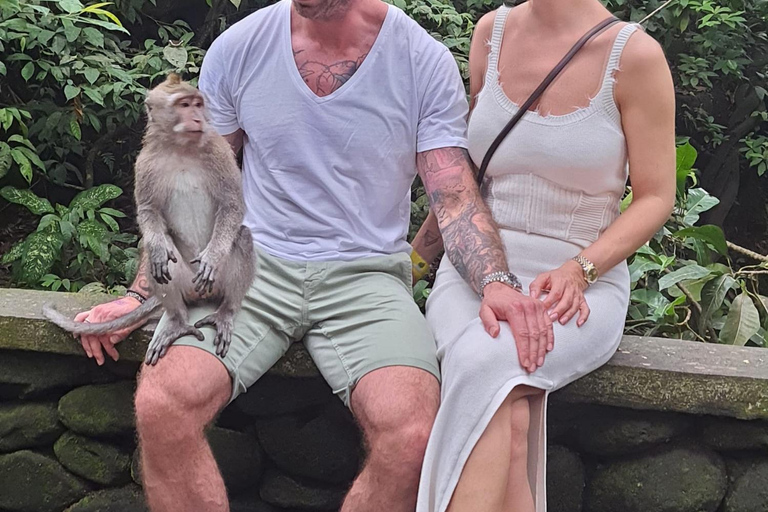 乌布猴林、梯田、秋千、寺庙和瀑布乌布猴林、水稻梯田、秋千、寺庙和瀑布