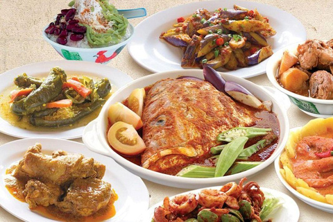 Private Historical Malacca Experience