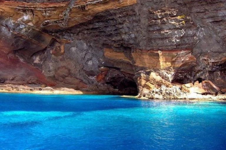 من فونشال: جولة إرشادية إلى جزر ديزرتاس