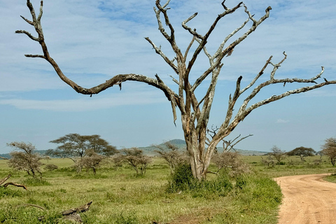 Arusha: 4-Day Ngorongoro, Tarangire, and Materuni Lodge Tour