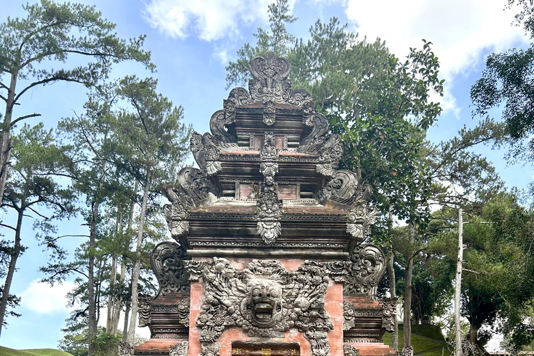 Ubud Waterfall, Temple, Rice Terrace & Art with Transfers