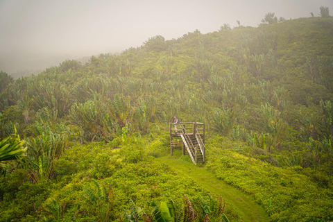 Maurice : randonnée guidée dans les gorges de la Rivière NoireMaurice : Randonnée guidée dans les gorges de la Rivière Noire