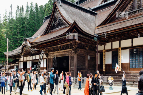Wakayama: Private Tour to Nachi Falls & Mount Koya