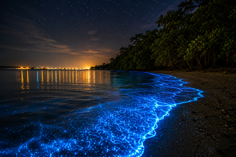 Kuala Selangor: Fireflies & Blue Tears Tour Kuala Selangor: Fireflies & Blue Tears Tour (Shared Tour)