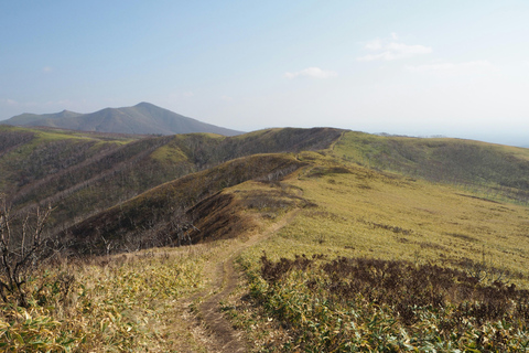 Yoichi &amp; Shakotan Tour: Entdecke Hokkaidos Schönheit der Küste