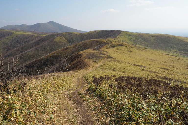 Yoichi &amp; Shakotan Tour: Ontdek de kustschoonheid van Hokkaido