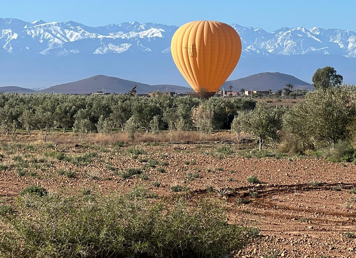Marrakech: Ballonaktivitet, berber-morgenmad og certifikat
