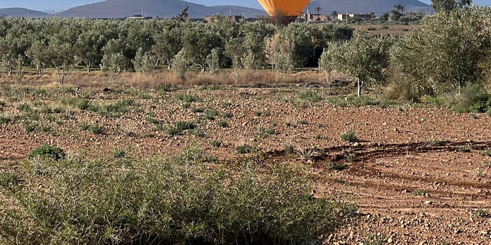 Marrakech: Balloon Flight, Berber Breakfast & Certificate