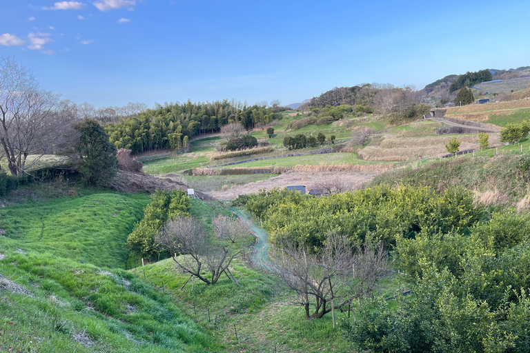 أسوكا: جولة إرشادية خاصة في عاصمة اليابان القديمةخدمة المرشدين فقط