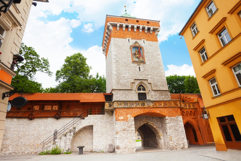 Krakow Old Town and National Museum Private Guided Tour 2-hour: Old Town Tour & Tickets to National Museum