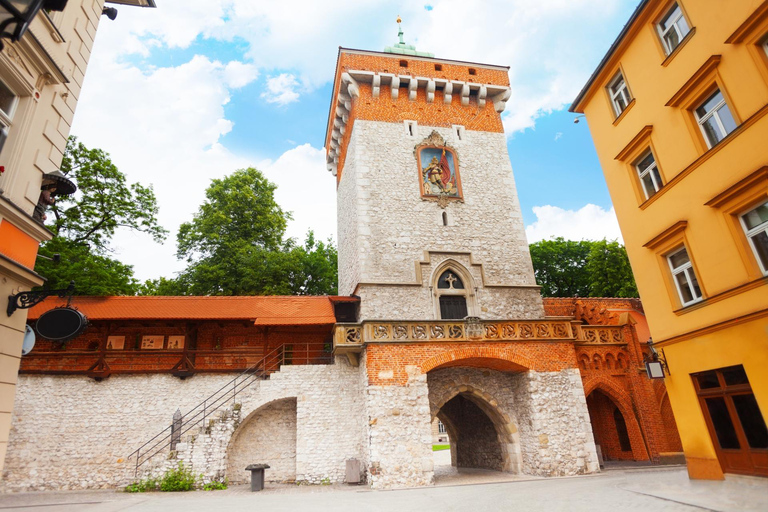 Krakow Old Town and National Museum Private Guided Tour 2-hour: Old Town Tour & Tickets to National Museum