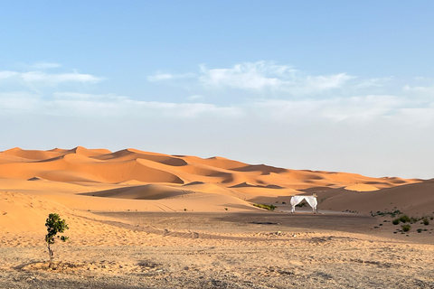 From Fez: 3-Day Luxury tour to Marrakech via Merzouga Tour with Luxury Camp