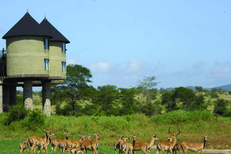 Safári de 2 dias pela vida selvagem nos parques Tsavo East e Tsavo West