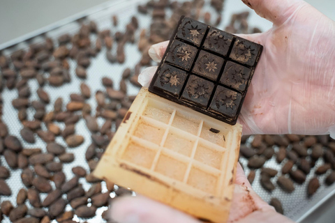 Chocolatier for a day: raw bean to bar chocolate in Modica