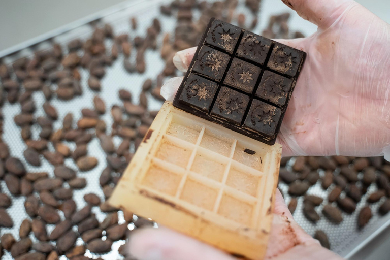 Chocolatier for a day: raw bean to bar chocolate in Modica