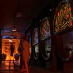 Degustazione di vini alsaziani e tour immersivo in cantina
