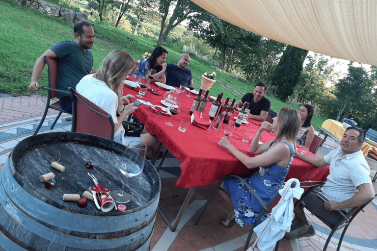 Vineyard Walk & Wine Tasting in the Berici Hills of Vicenza