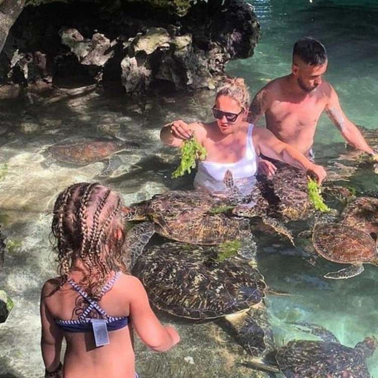 Sansibar: Besuch im Schildkröten-Aquarium & Dau-Fahrt zum Sonnenuntergang