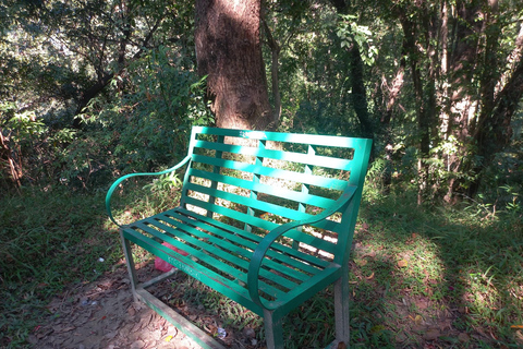 كاتماندو: جولة في الحديقة الخضراء والشلالات