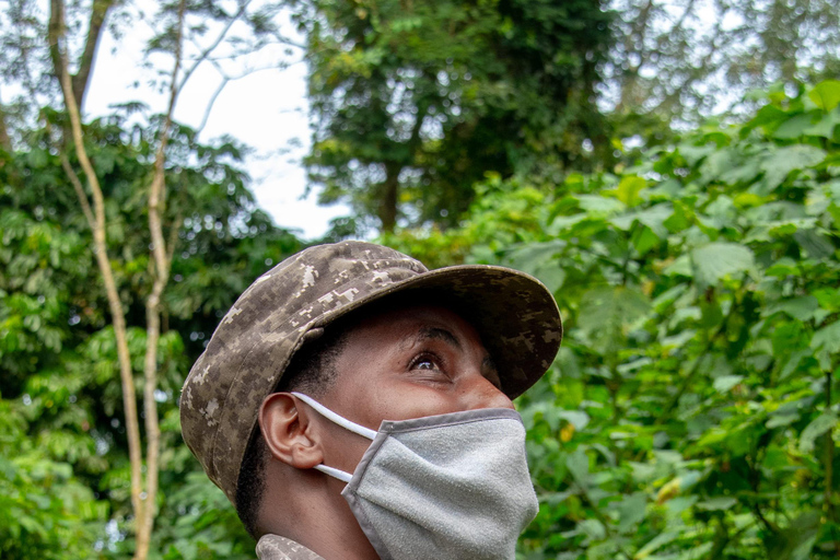 5-Day Uganda Safari: Chimpanzees & Gorillas on midrange
