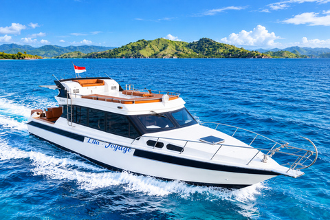 Day Trip to Komodo with Luxury Boat Dragon Guarantee & Drone