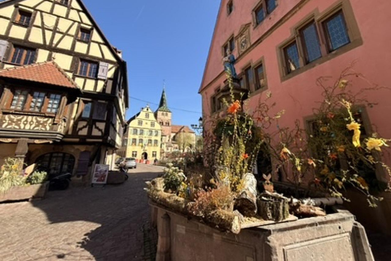 Turckheim: the town where the dragon sleeps, walking tour