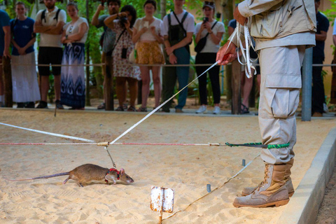 Siem Reap: Afternoon APOPO Rats Tour + Phare Circus Option Tour Included Phare Circus Show