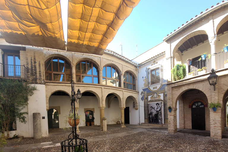 Córdoba Midochtend Wandeling - Kleine Groep, Lekker in NLs!