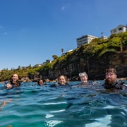 Guided Snorkel Tour at Australias most iconic beach