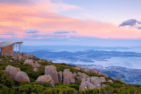 Hobart: Excursão em terra com Santuário de Vida Selvagem e almoço