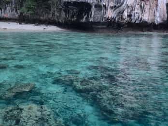 Ko Phi Phi Don : Excursion en bateau rapide avec plongée en apnée avec les requins