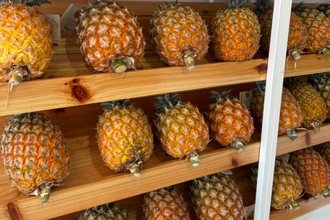 Avventura privata in jeep 4x4 a São Miguel - Tour personalizzato