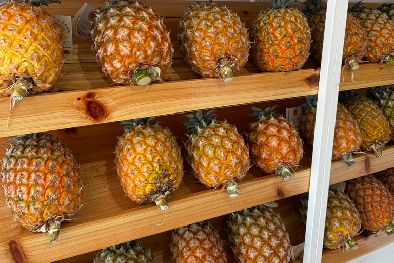 Avventura privata in jeep 4x4 a São Miguel - Tour personalizzato