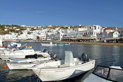 Cruzeiro guiado em Mykonos com um jipe exclusivo para passageiros: Visita obrigatória em 4h