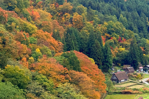 1 Day Customize Private Charter Tour Shirakawago & Kanazawa