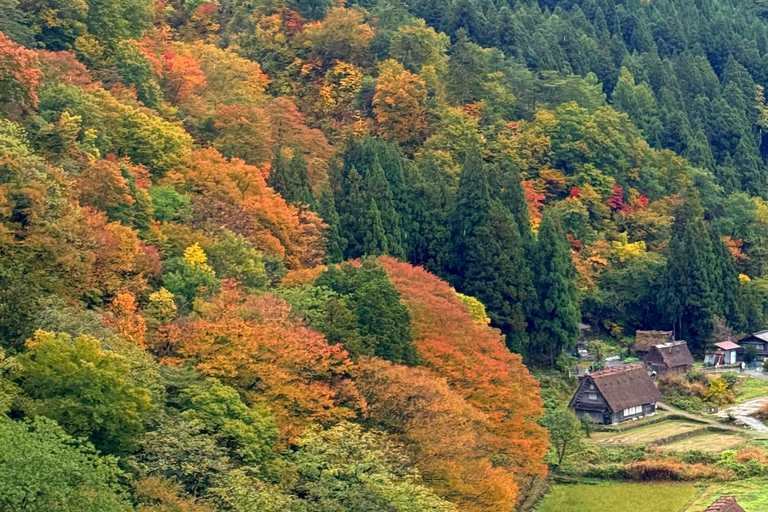 1 Day Customize Private Charter Tour Shirakawago & Kanazawa
