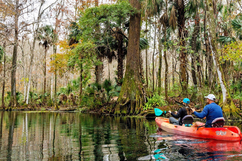 Orlando: Silver Springs Guided Kayak Tour with Shuttle