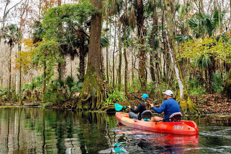 Orlando: Silver Springs Guided Kayak Tour with Shuttle