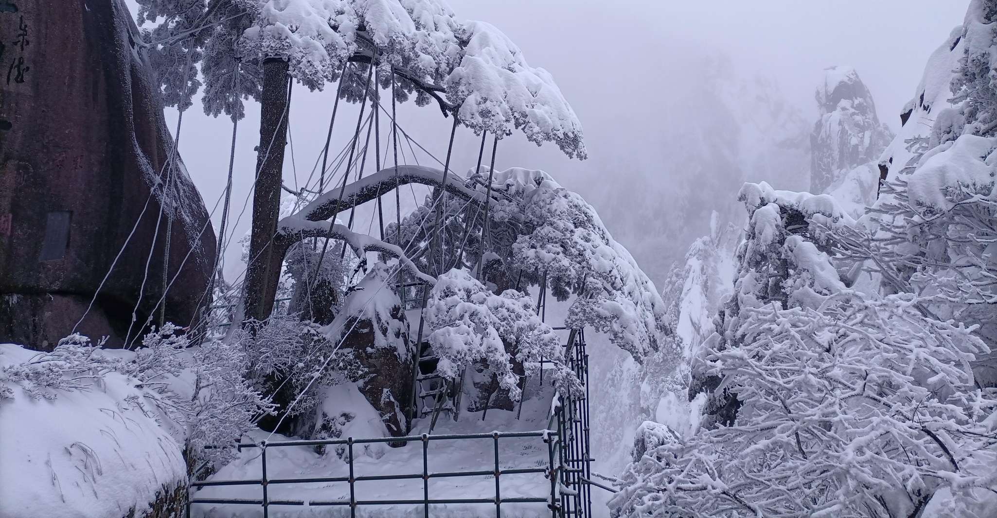 Huangshan：the Essence Route of Huangshan Backside Day Trip - Housity