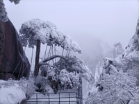 Huangshan: la voie de l'essence de Huangshan Backside Day Trip - Housity