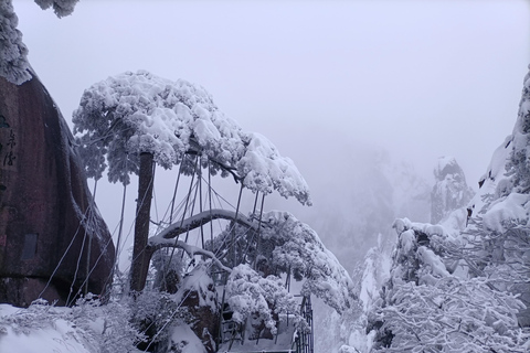 Huangshan: Mountain Top Day Trip with Cable Car and Pickup