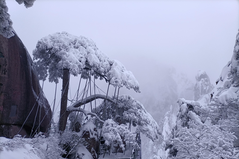 Huangshan: Mountain Top Day Trip with Cable Car and Pickup
