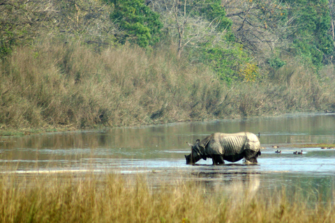 Nepal: 9-Day Luxury Tour with Private Transportation